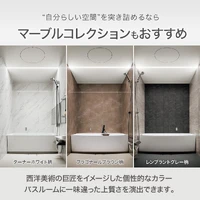 画像252