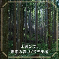 画像714