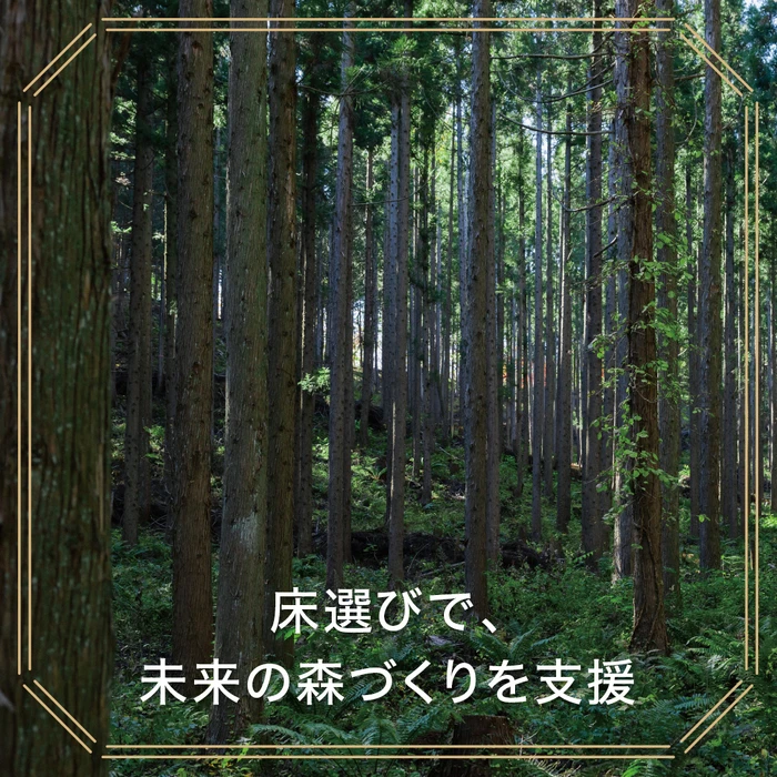画像714