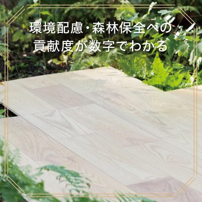 画像716